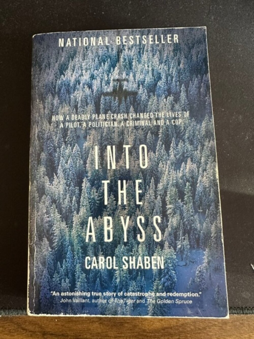 Into the abyss